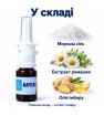 Марисан спрей-бальзам для носа ЛЕККОС 10 мл — морская соль, ромашка и имбирь